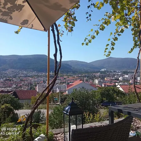 Cinderella With View *