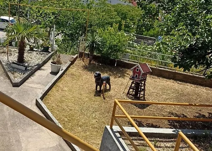 Cinderella With View